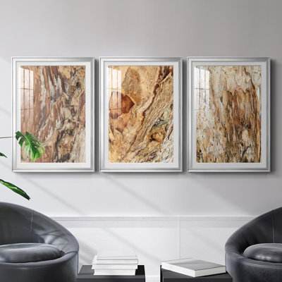 " Tree Texture Triptych I " 3 - Pieces Painting Print