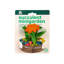 Succulent MiniGarden, petit animal