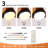 3-blade solid wood ceiling fan light-1871815073