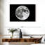 Oberle The Moon-107670260