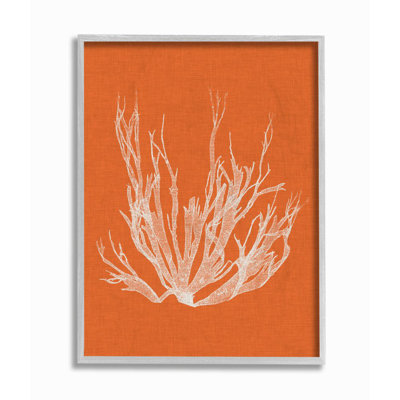 " Coral Seaweed Orange White Beach "