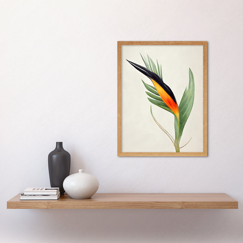 Tropical Bird Of Paradise Flower - Print, 43cm H x 33cm W x 2cm D, Light Brown Framed Paper