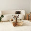 Sicario Coffee Table