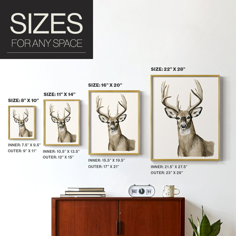 Impression encadrée Handsome Whitetail I-Premium - prête à être accrochée - aucun clou requis - aucun clou requis, Doré