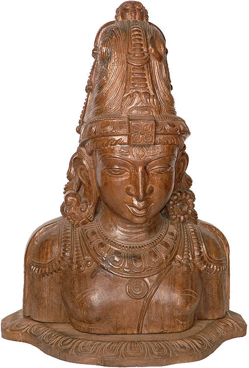Buste du dieu Shiva avec les attributs Ardha-Narishvara: une sculpture sur bois