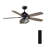 11'' Ceiling Fan with Light Kit