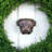Pug Door Knocker