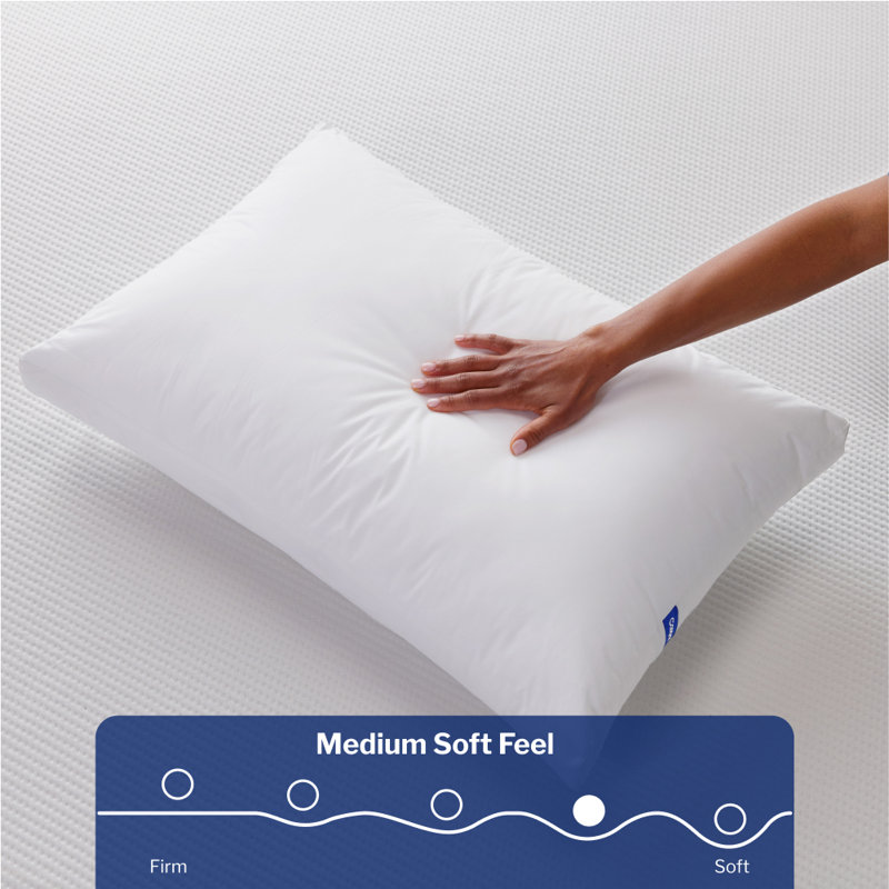 Essential Pillow, Standard, Two Pack, Standard