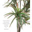 Dracaena artificiel en pot-149051531