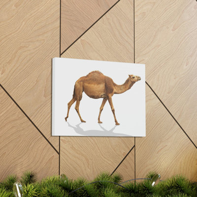 Wall Art on Canvas