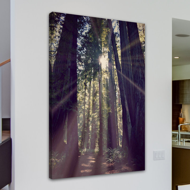 " Redwoods Hike " by Robert Dickinson, 45" H x 30" W x 1.5" D