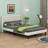 Queen Size Upholstered Platform Bed With Support Legs-1767500402