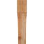 Attelle de genou Westlake-80752902-87189280-29310046