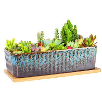 Succulent Pots, 12'' Long Rectangle Planters with Tray, Windowsill Planter Large Ceramic Pots for Indoor Cactus Plants Shallow Bonsai Window Box for Home Garden Decor
