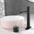 Vessel Bathroom Faucet with Drain Assembly