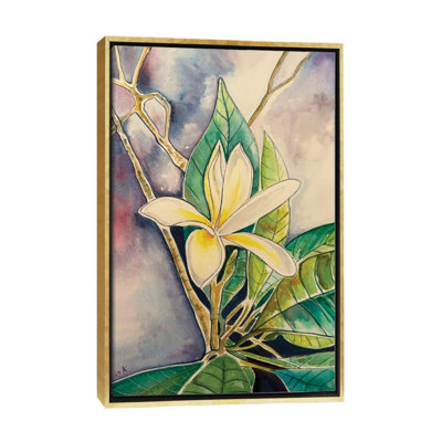 Plumeria Flower - Wall Art Print - Framed Canvas