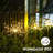 Stainless Steel Solar Powered Integrated LED Pathway Light