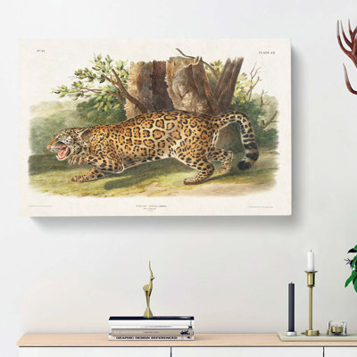 Jaguar by J.W. Audubon - Wrapped Canvas