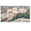 Pivoines dans les contreforts rocheux II - art mural pivoines - ensemble d'art mural traditionnel Wa