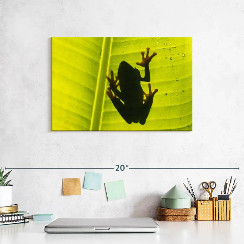 Frog On Leaf, 8" H x 12" W