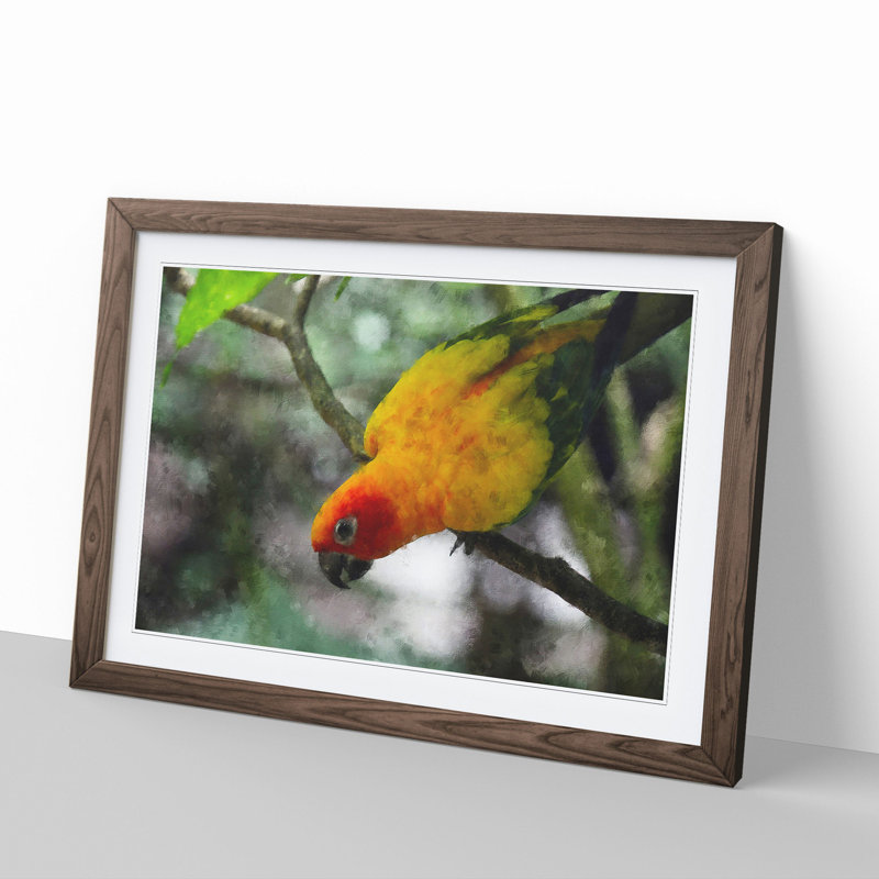 Parrot - Framed Print, 48cm H x 65cm W x 2cm D, Walnut Framed