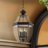Alexavier 4 - Light Outdoor Hanging Lantern-146164249