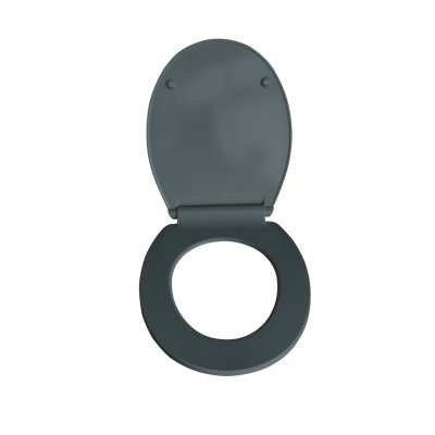 Slimline Soft Close Elongated Toilet Seat