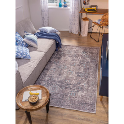 Oriental Hand Woven Indoor / Outdoor Area Rug