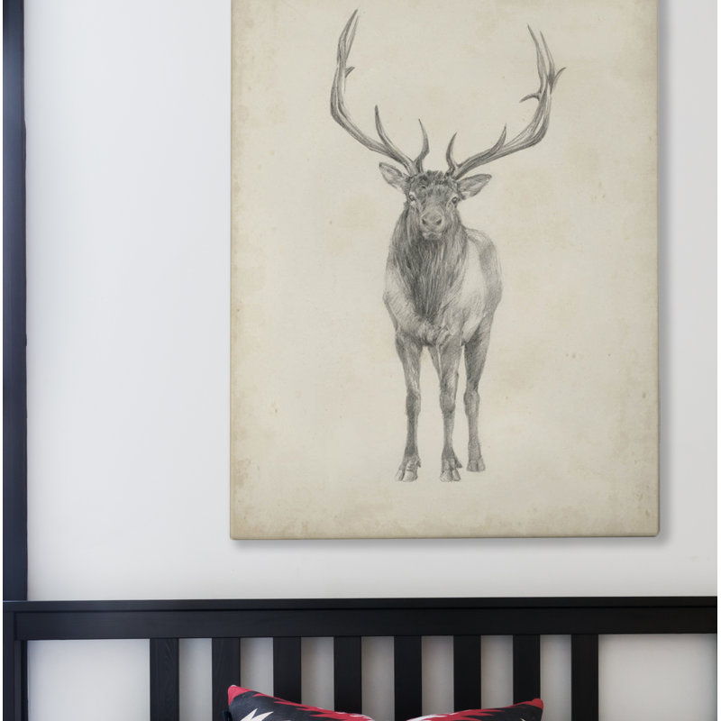 " Elk Study "