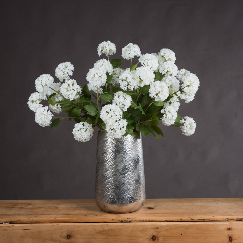 Anastasija Arrangement