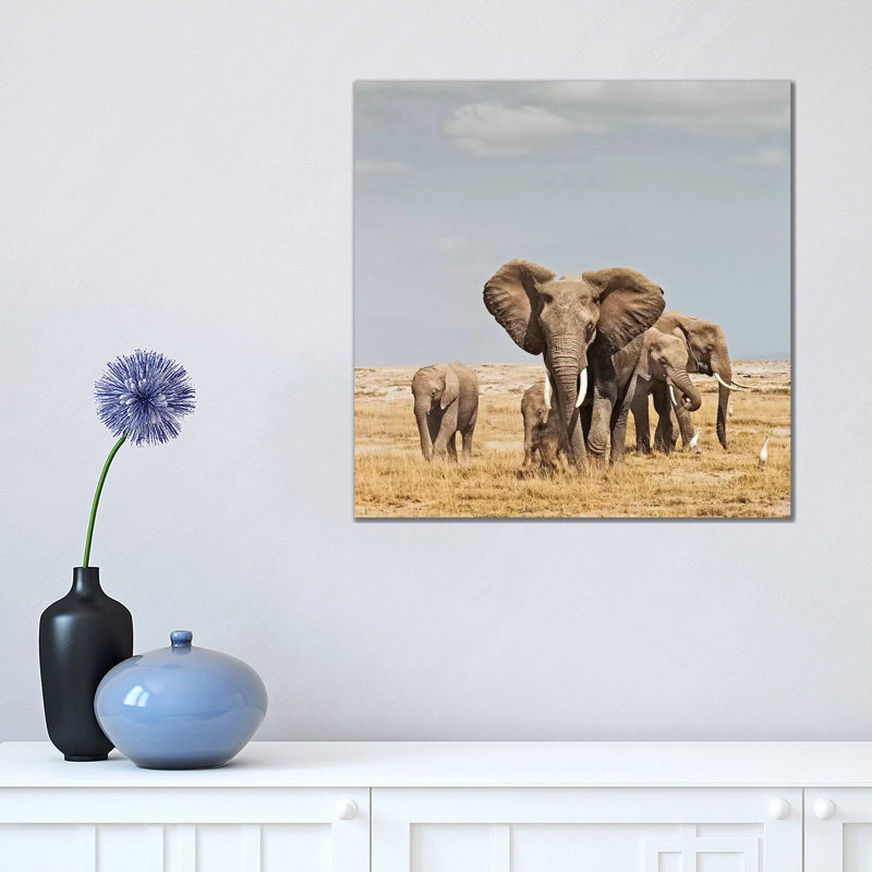 Colour Elephant Herd by Klaus Tiedge - Print on Canvas, 66.04 cm H x 66.04 cm W x 3.175 cm D, Wrapped Canvas