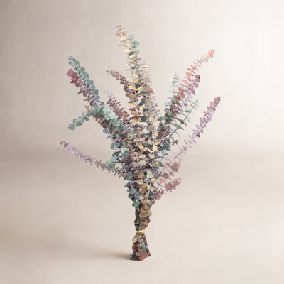 30'' Branch