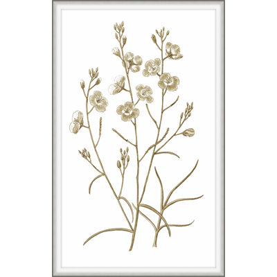 Sweet Preservation 1 Print