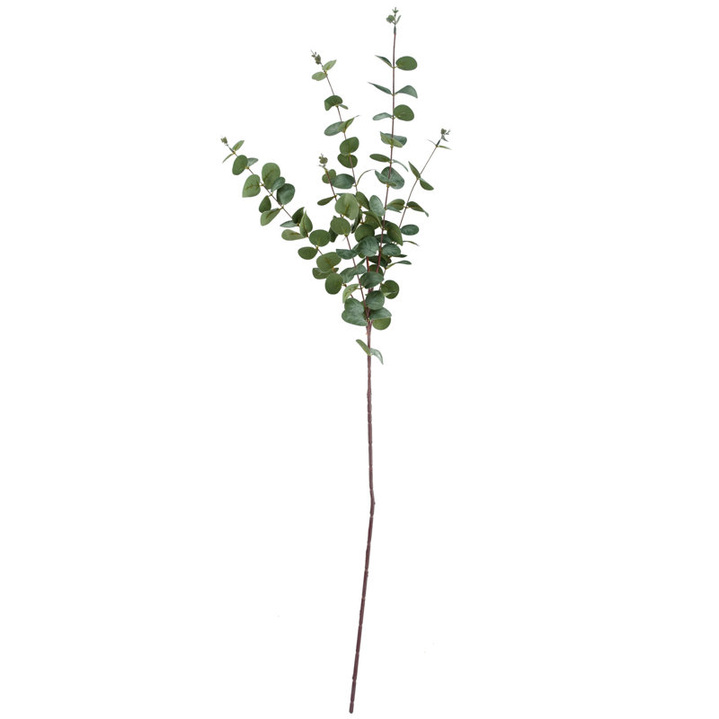 Andarius Arrangement