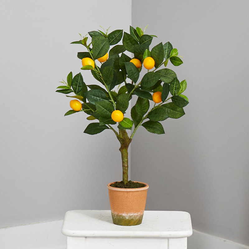 24" Faux Lemon Tree in Weathered Terra-Cotta Planter