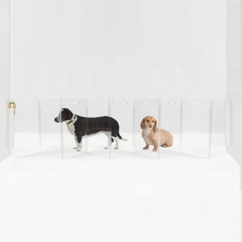 Barrière murale haute pour animaux Zig Zag , 10 panneaux, Doré, Tall