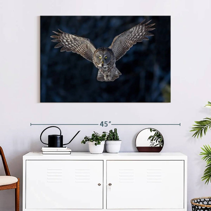 Flying Gray Owl, 26" H x 39" W