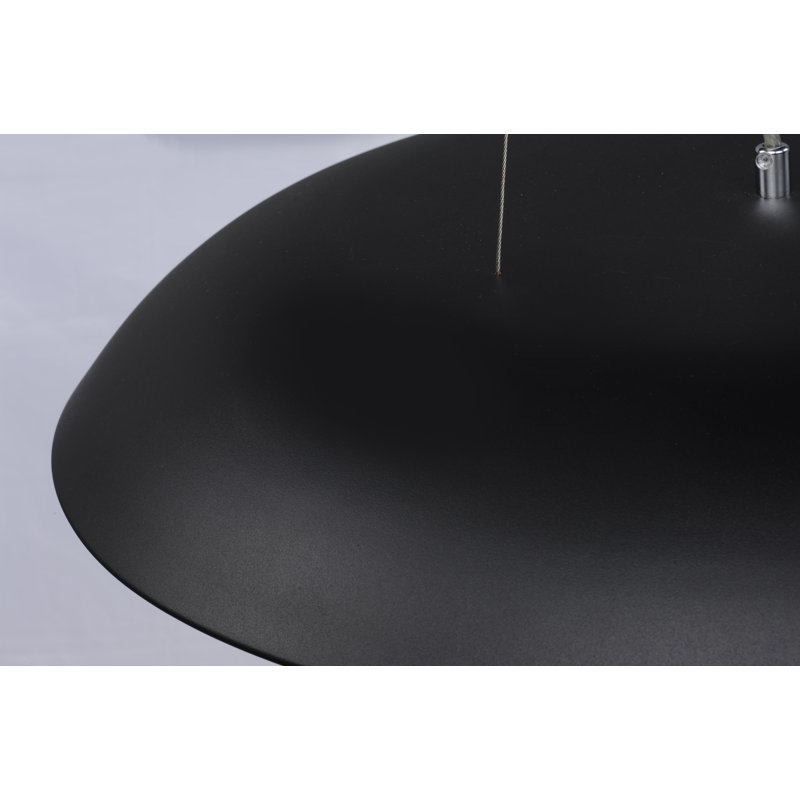 Luminaire suspendu 1 lumière à del unique Sera