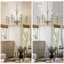 Lustre classique / traditionnel à 8 lumières à intensité variable en bronze antique