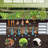 8X4x1 Ft Galvanized Raised Garden Bed - Outdoor Planting Box. Spacious For Gardening Veggies. Steel Design. Open-Ended Base Enhanced Plant Growth. Strong Support Bars Stability. Thickened Element .