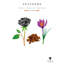 Feathers Black-233959988