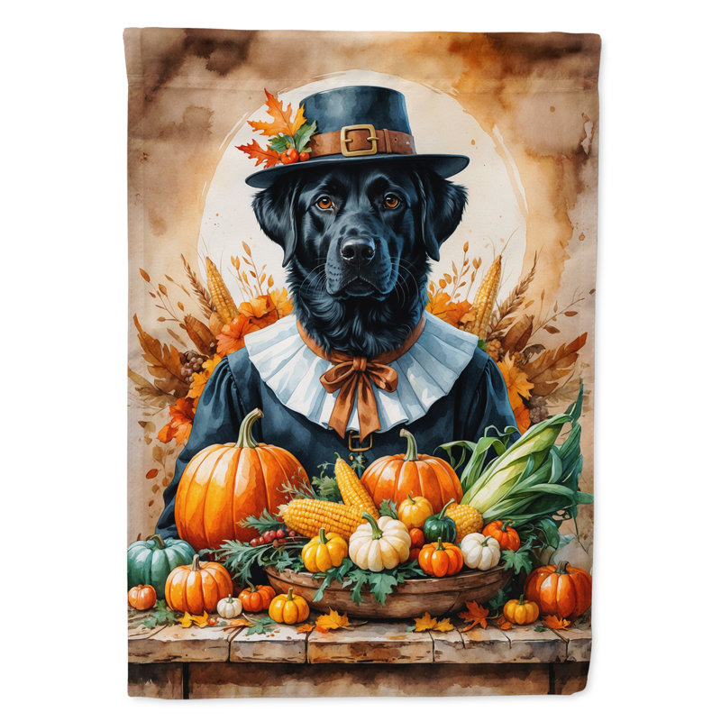 Drapeau de l'Action de grâce, Labrador noir retriever