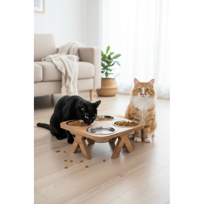 Bol pour nourriture pour animaux