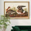 Oie à front blanc - reproduction de cadre photo sur toile-959073078-959073076