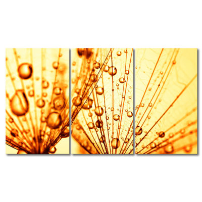 3 Piece Wall Art on Canvas