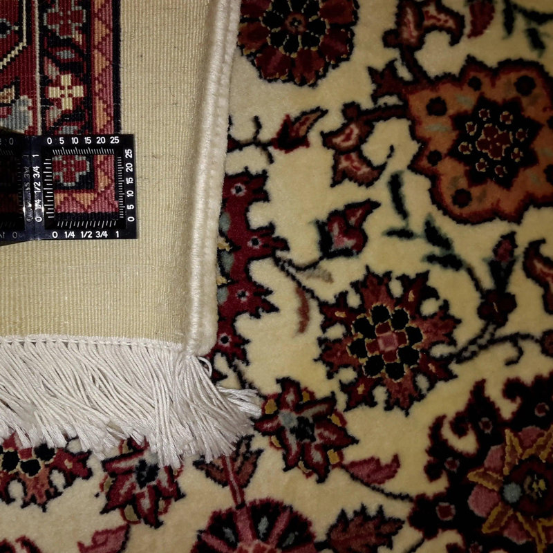 Roonald Hand Woven Cotton and Wool Oriental Area Rug