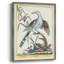 «Pastel Birds V», reproduction encadrée en bois massif-1860579529