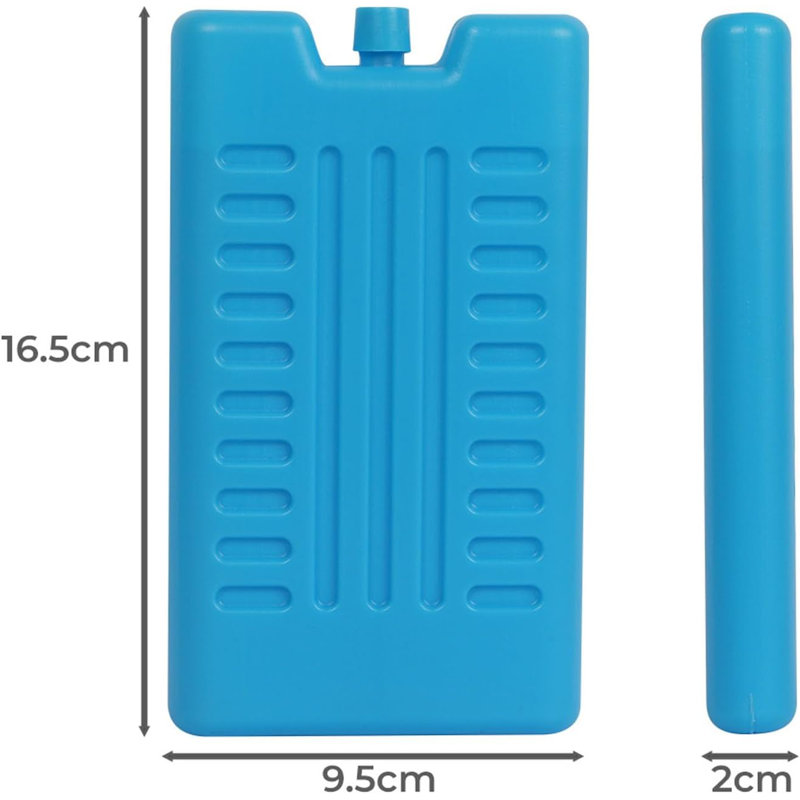 Riegelsville Pack Of 6 Reusable Freezer Ice Pack Blocks - Cools & Keeps Food & Drinks Fresh | Ideal For Picnics, Cool Bags, Lunch Boxes Ice Cube Tray