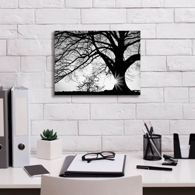 " Oak Silhouette " by PhotoINC Studio