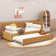 Upholstered Daybed with Trundle Sofa Bed Frame